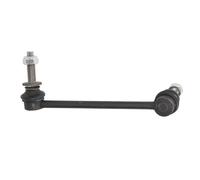 Asta/puntone, stabilizzatore REINHOCH RH06-6004 sinistro