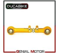 Asta Reazione Post Reg Panigale Oro Ducabike Ducati Panigale 959 2016 > 2019