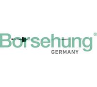 Asta sbloccaggio porta anteriore B10792 Borsehung per AUDI A6 C7 A6 C6