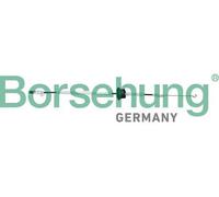 Asta sbloccaggio porta posteriore B10788 Borsehung per AUDI Q5 Q5 Van