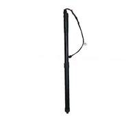 Asta Supporto Sollevamento 68920-79017 68910-79017 AZ10 Per Lexus NT200 NX300H NX300 2017 2018 2021 Supporto Per Portellone Elettrico Con Molle A Gas(RH)