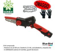 Asta telescopica Forbici Potatore mini motosega batteria BLUE BIRD kit potatura