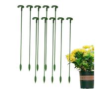 Aste per piante da appartamento, aste riutilizzabili, pali, supporto | 10 aste per orchidee, per orchidee, orchidee, rose, pomodoro, giglio, bonsai, paesaggistica, serra, balcone