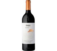 Áster Reserva 2021 - Áster - La Rioja Alta Ribera del Duero