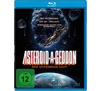 Asteroid-A-Geddon - Der Untergang naht