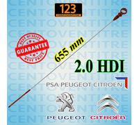 ASTINA CONTROLLO LIVELLO OLIO MOTORE CITROEN PEUGEOT 2.0 HDI -