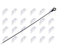 Astina olio BOL-CH-008 NTY