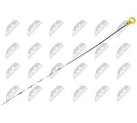 Astina olio BOL-FR-006 NTY