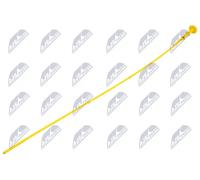 Astina olio BOL-ME-018 NTY