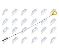 Astina olio BOL-VW-001 NTY per AUDI SKODA VW SEAT