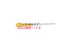 Astina olio FT01736 FAST