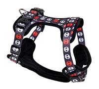 ASTORPET | Imbracatura per cani in rete tipo Air Mesh. Gilet regolabile per cani grandi, medi e piccoli con chiusura di sicurezza. Passeggiata e addestramento (M, Corso)