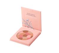 ASTRA MAKEUP - Viso PURE BEAUTY MOSAIC FACE POWDER 0001 - MOTHER EARTH - Bronzer