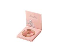 Astra Make-up Pure Beauty Mosaic Face Powder cipria mosaico 8 g
