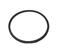 ASTRAL - O-Ring Prefiltro Pompa Piscina Victoria Plus