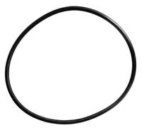 Astral Pool 4404180201 Coperchio Filtro Cantabric Con Anello O