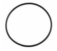 Astral Pump LID ORING Replacement (BX(pre2017)/Viron P300/600) Spedizione...