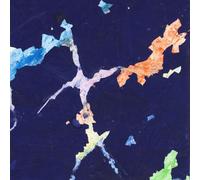 Astral Social Club/ Glockenspiel - Split