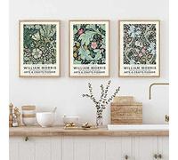Astratta William Morris Fiore Foglia Uccello Wall Art Tela Pittura Nordic Poster E Stampe Immagini Soggiorno Decor 40x60 cm-3 Pezzi Senza Cornice
