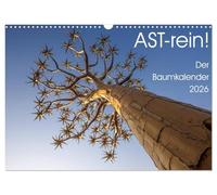 Astrein! - Der Baumkalender 2026 (Wandkalender 2026 DIN A3 quer), CALVENDO Monatskalender: Bäume aus verschiedenen Perspektiven in 12 hochwertigen Fotografien