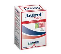 ASTREL WDG 1Kg Sumitomo/Gowan Insetticida Biologico a base di Bacillus thuringie