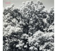 Astrid – Always Digging The Same Hole – Broken Silence