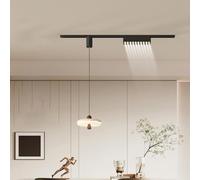 AstrizLamp Lampada a Sospensione Moderna per Isola cucina, Regolabile 150cm, Binario Mobile con Faretto Orientabile, Lampada Pendente Nera per Sala da Pranzo, Soggiorno, Camera da letto (2 luci C)