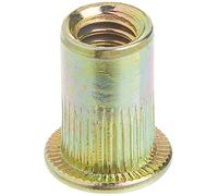 Astro Pneumatic Tool RN14 100 pezzi 1/4-20 dadi rivetti in acciaio, Twо Расk