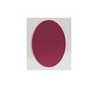 Astronomik Filtro H-alfa 12 nm CCD senza montatura 27 mm