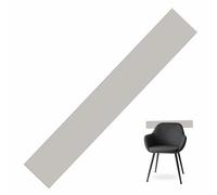 ASTROPLASTIC | Fasce Battisedia in Plexiglass-Acrilico pmma TRASPARENTE e COLORATO per Protezione Muro Parete | Installazione tramite BIADESIVO (Grigio, cm 100x20)