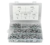 ASTUCCIO DI RIVETTI 300 PEZZI