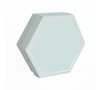 Astuccio Esagonale 12x12x4 cm. SALVIA 6 SCOMPARTI CON FOIL IN ORO (set da 20 pz.