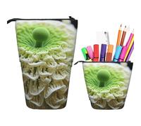 Astuccio portamatite con stampa di funghi verde carino in piedi astuccio retrattile portapenne astuccio astuccio cancelleria, Fungo Green Bud, Taglia unica, Portamonete
