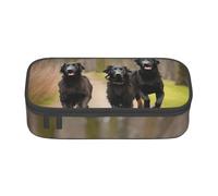 Astuccio portapenne con stampa arcobaleno e stelle, grande capacità, con 4 scomparti, per uomini e donne, Trotting Flat Coated Retrievers Paw, Taglia unica, Organizer per borse