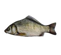 Astuccio realistico per pesci - Astuccio per carpa per la scuola, astuccio per la scuola, astuccio creativo con stile eccentrico per adulti, Kin, a, vedi descrizione, Vedi descrizione