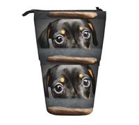 Astuccio telescopico portamatite per ufficio in piedi portamatite pop up astuccio per penne a forma di cane osso scatola organizer per cancelleria per lavoro, Nero , Taglia unica, Organizer per borse