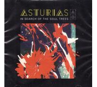 Asturias - In Search Of The Soul