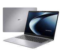 ASUS ExpertBook P3 G1 P3406CCA-LY0483X Intel Core Ultra 5 225H RAM 16GB Intel Graphics SSD 512GB 14" WUXGA Win11 Pro Tastiera Retroilluminata