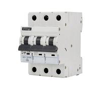 asvendo Elettro/Schelinger/Interruttore di circuito/Interruttore LS/Fusibile automatico/Fusibile / 1 Poli/B o C / 2A - 63A / VDE (3 Polig/C/20A)
