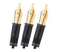Asvine 3 pz penna stilografica pennini sostituiti, 6 pennini fini placcati oro V169, P20, P30 e V126