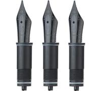 Asvine 3 PZ Penne Stilografiche con Pennini Sostituibili, 6 Pennini Neri EF/F/M V169, P20, P30 e V126