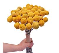 Asyduey Mazzo Naturale del Mazzo della Palla di Giallo del Fiore Secco, Mazzo della Pianta Secca Appena Raccolto Reale, Decorazione per I Mestieri Domestici