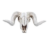 Asyduey nel Resina Testa di Pecora Testa di Cranio Appeso Un Parete 3D Animale Longhorn Scultura Figurine Corna Decorazioni per la Casa Ornamenti
