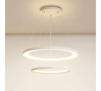 ASYHONG 2 ANCHI ANTRALLA di PENDANTI A GUILA di METALE, Creative Tavolo da Pranzo Acrilico Ampiccarsi, Moderna Illuminazione a Sospensione Interna a LED da 67 W, Soggiorno Lampadella di Illuminazione