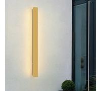 ASYHONG Lampada con Applique a Parete per Esterni in Oro Moderno per Porta Anteriore Lampada da Parete lineare Lunghe con 3000k/6000k Accensione del Monte Esterno Accensione Esterna KeYJ