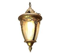 ASYHONG Pendente sospeso a Sospensione Esterno Padiglione all'aperto a Sospensione Light Auroproof Lampada Il lampadario del lampadario Lampade Lampape Illuminazione KeYJ