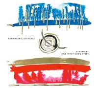 Asymmetric Universe - A Memory And What Came After - Cd