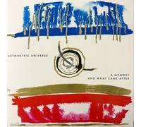 Asymmetric Universe - A Memory And What Came After