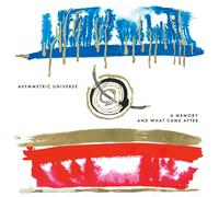 Asymmetric Universe A Memory and What Came After (Vinyl LP)