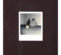 At Goalie's Anxiety Ways of Hearing (Vinyl LP)